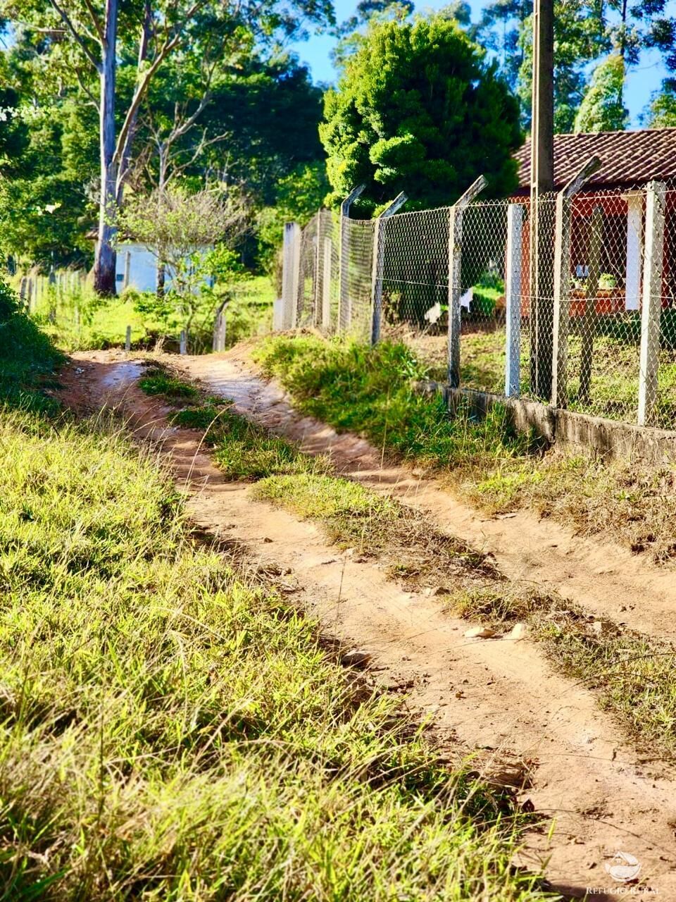 Fazenda à venda com 3 quartos, 2662000m² - Foto 29