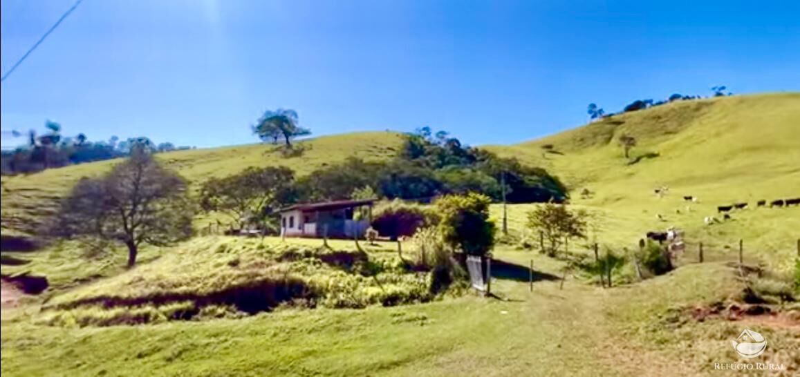 Fazenda à venda com 3 quartos, 2662000m² - Foto 14