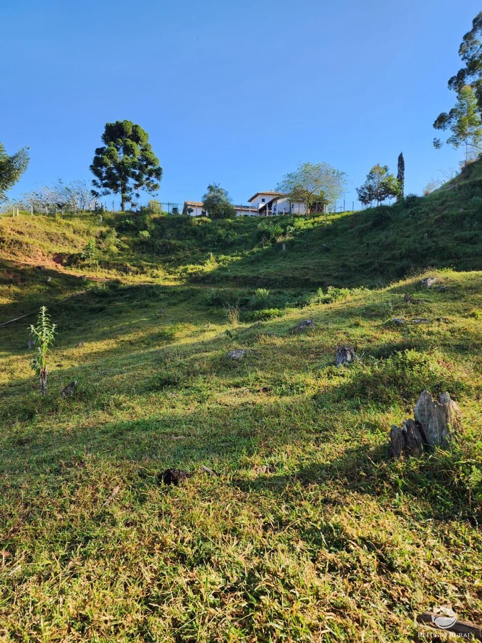 Fazenda à venda com 3 quartos, 2662000m² - Foto 19