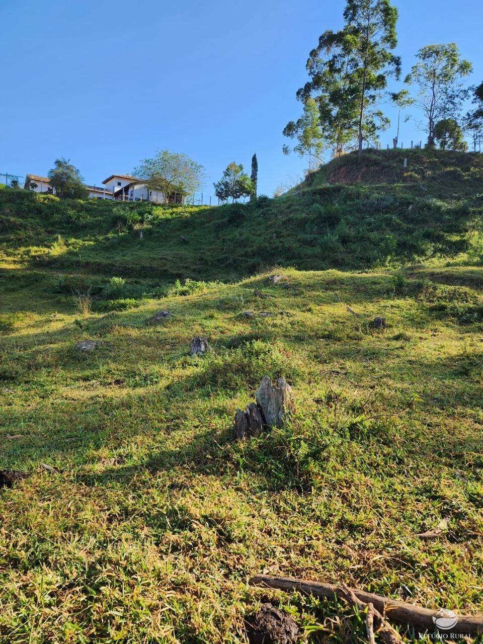 Fazenda à venda com 3 quartos, 2662000m² - Foto 20