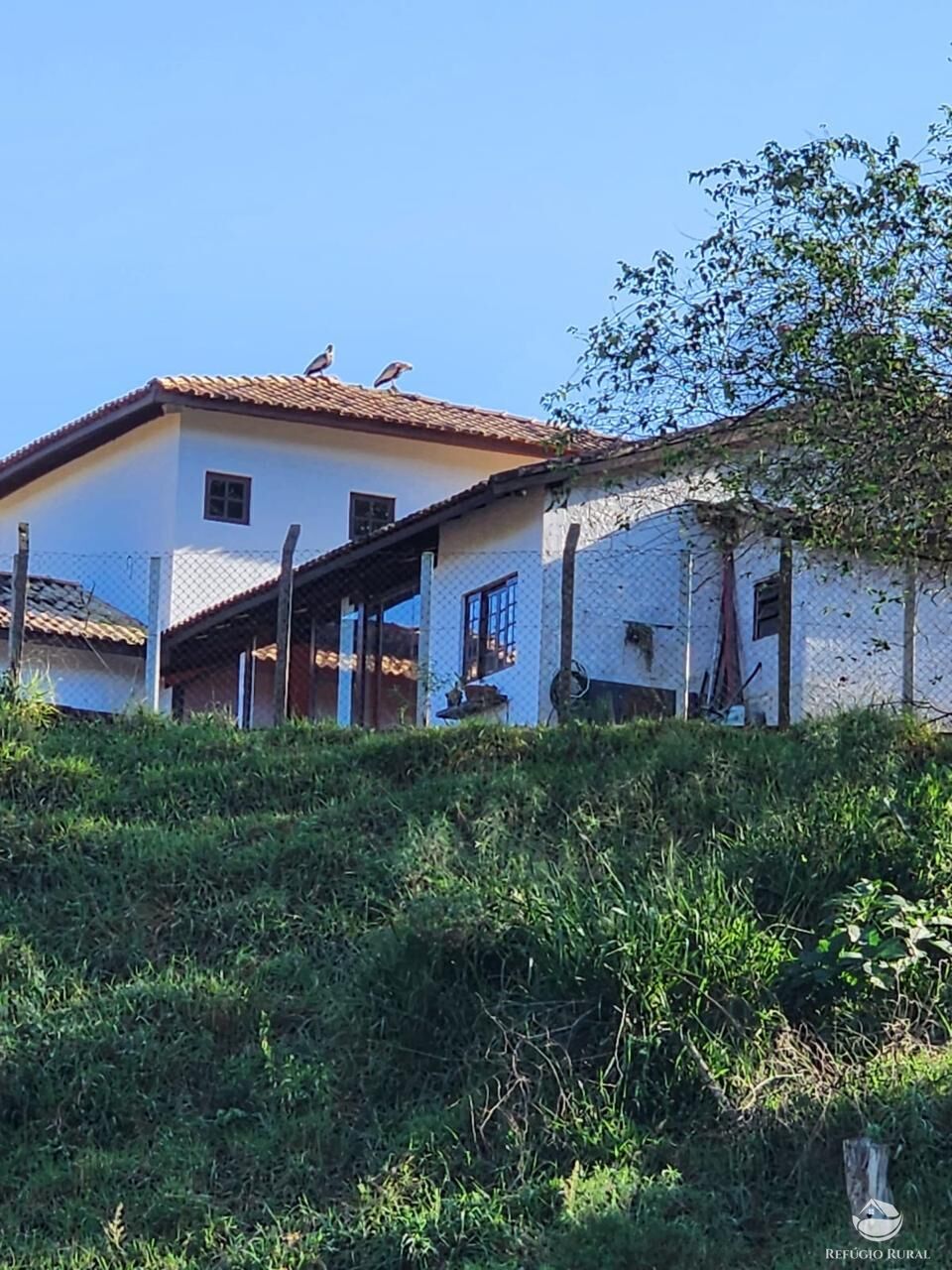 Fazenda à venda com 3 quartos, 2662000m² - Foto 3