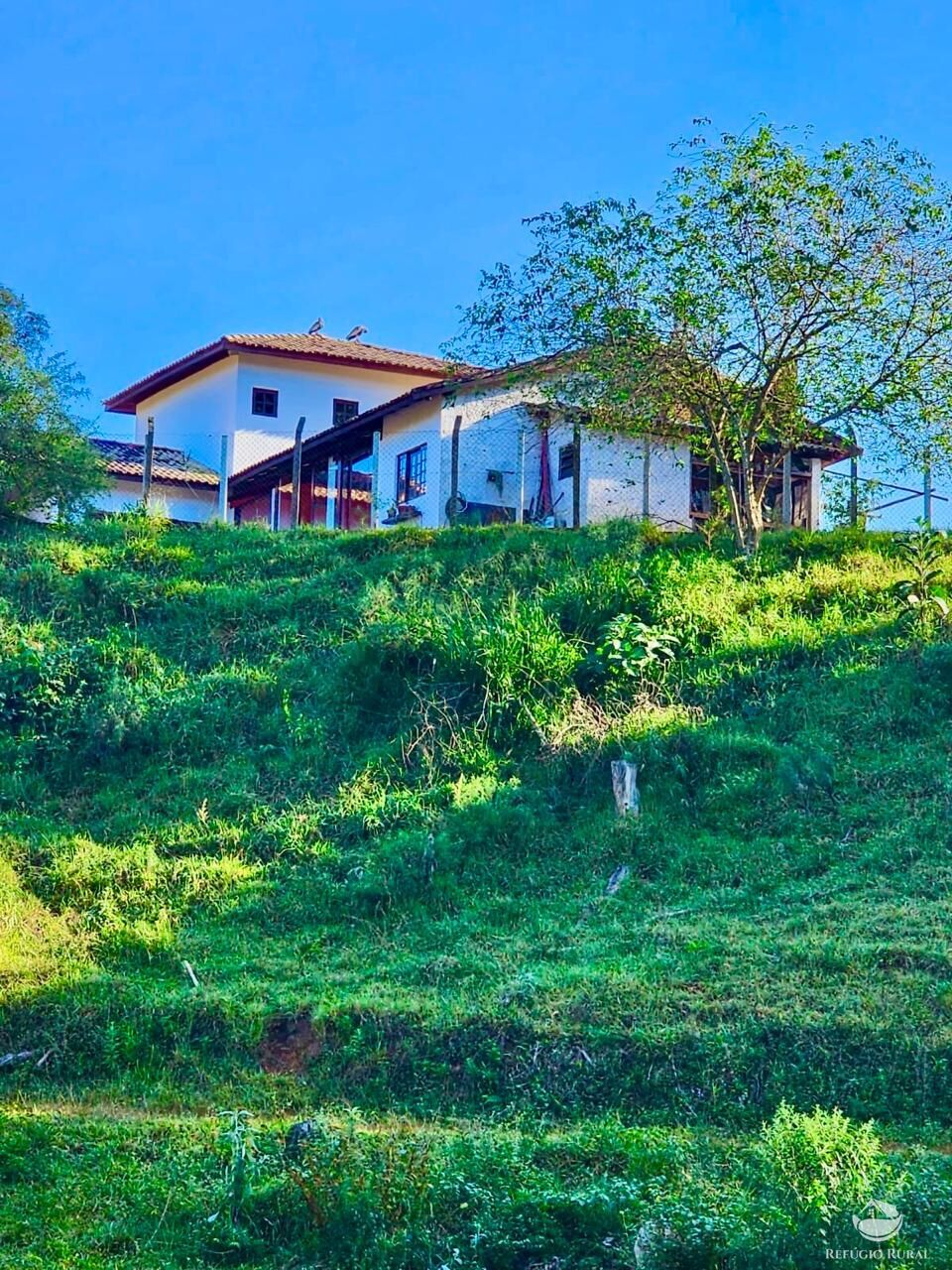 Fazenda à venda com 3 quartos, 2662000m² - Foto 26