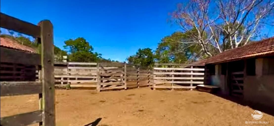 Fazenda à venda com 3 quartos, 2662000m² - Foto 12
