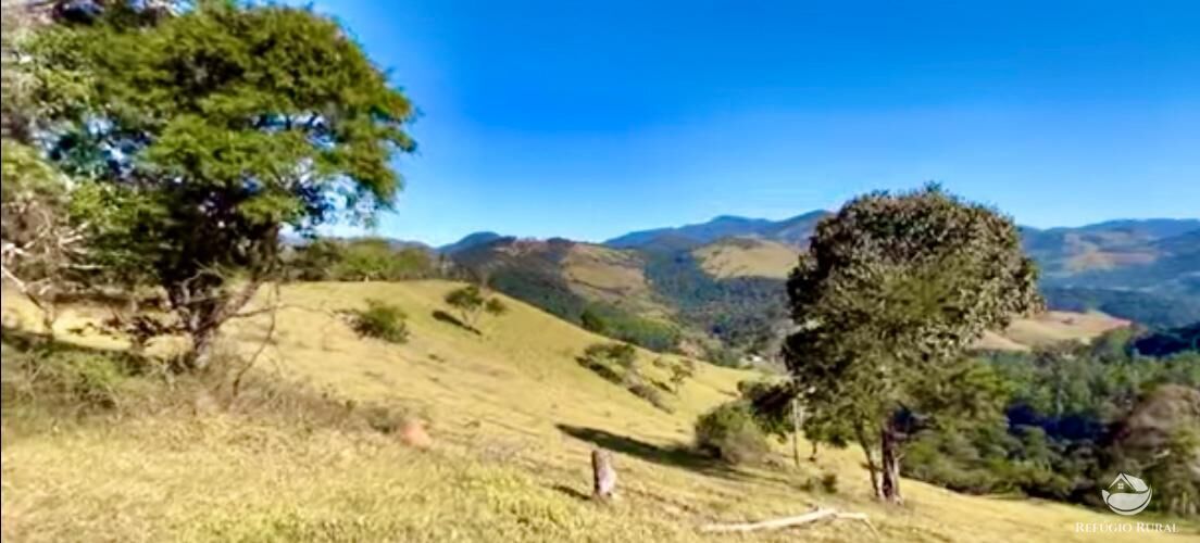 Fazenda à venda com 3 quartos, 2662000m² - Foto 8