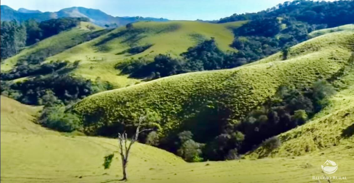 Fazenda à venda com 3 quartos, 2662000m² - Foto 30