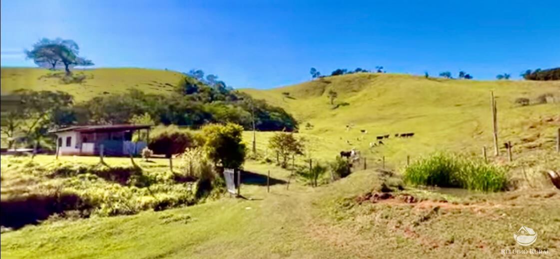 Fazenda à venda com 3 quartos, 2662000m² - Foto 13