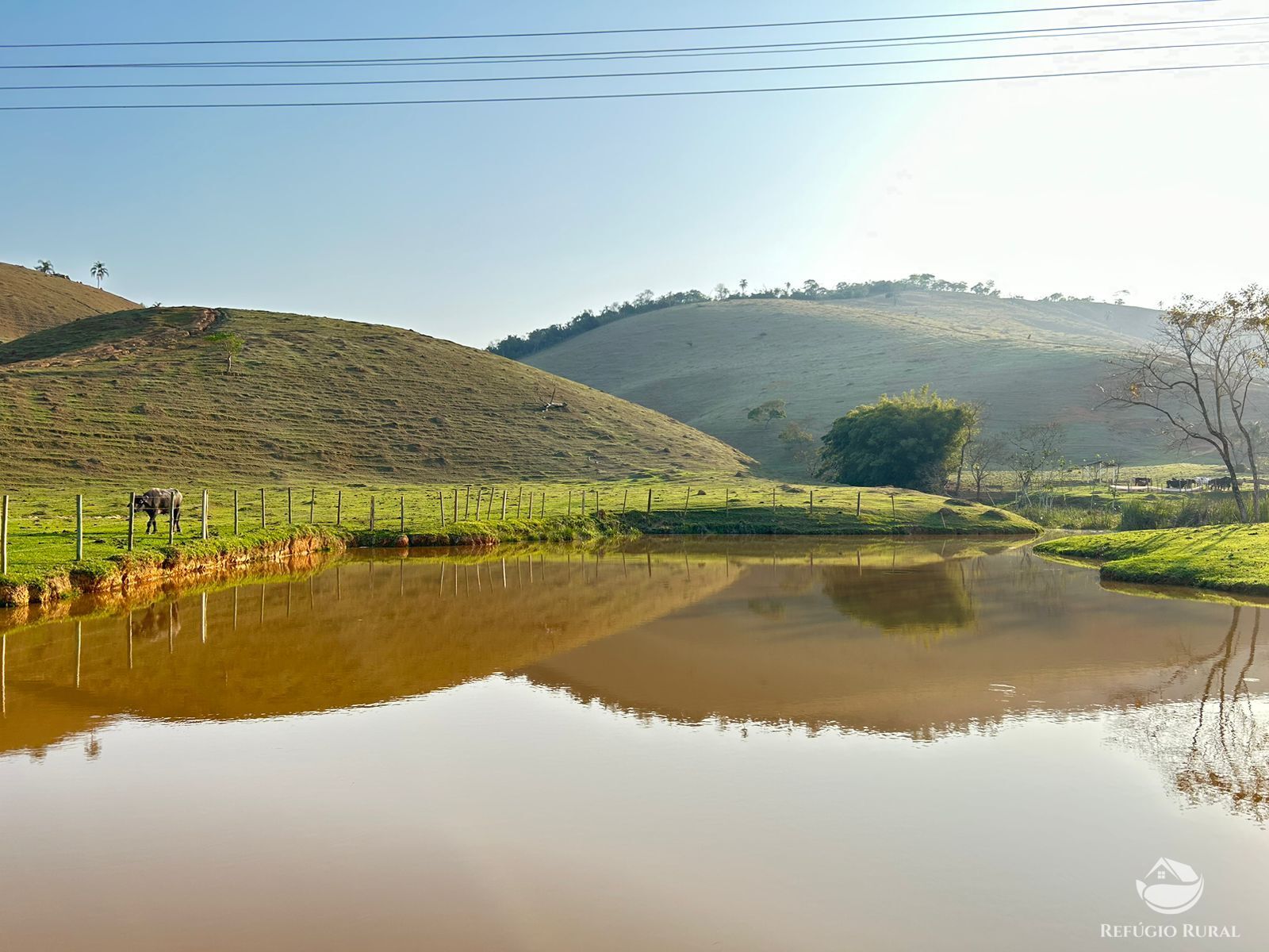 Fazenda à venda com 3 quartos, 1306800m² - Foto 1