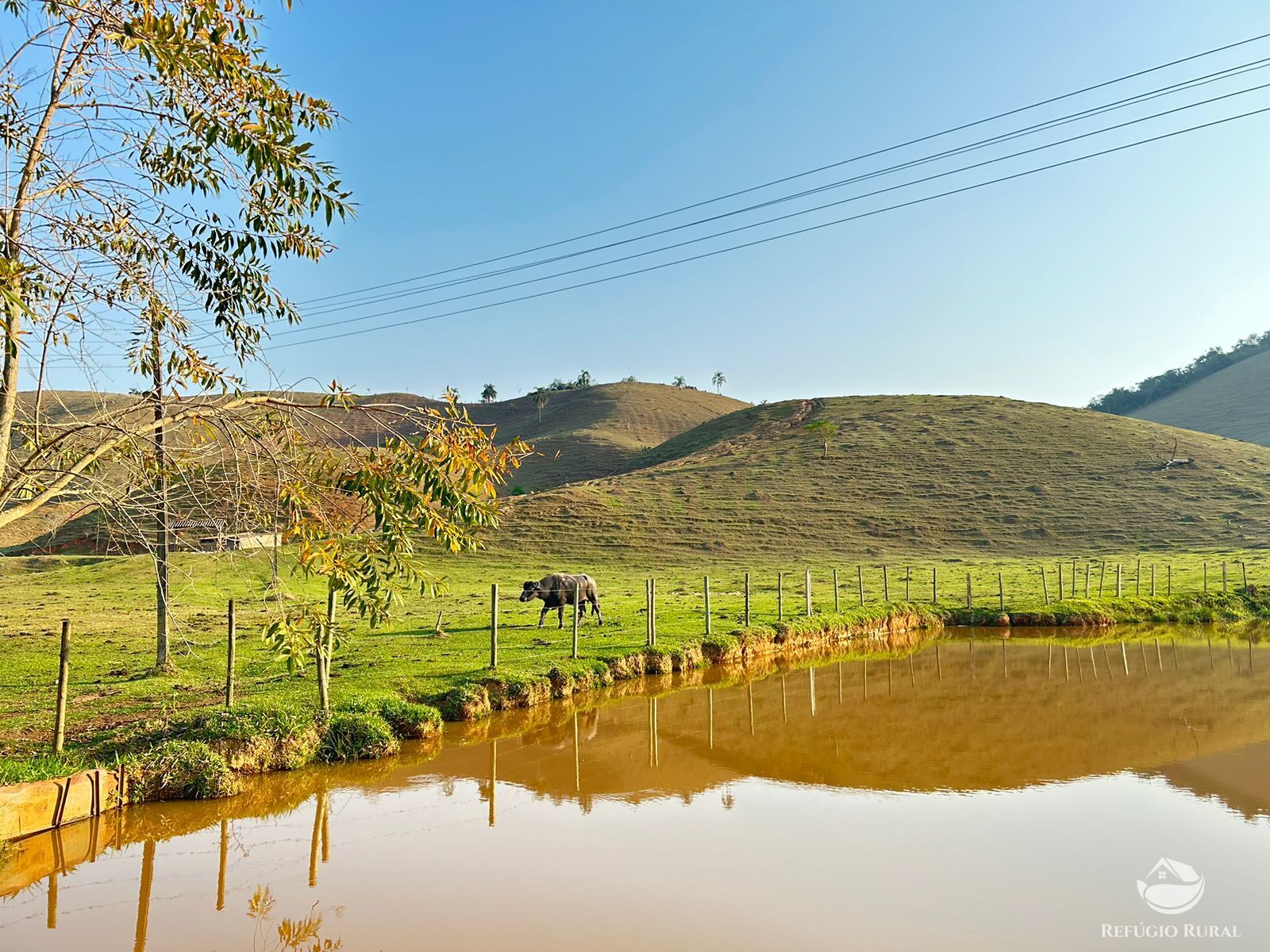 Fazenda à venda com 3 quartos, 1306800m² - Foto 10