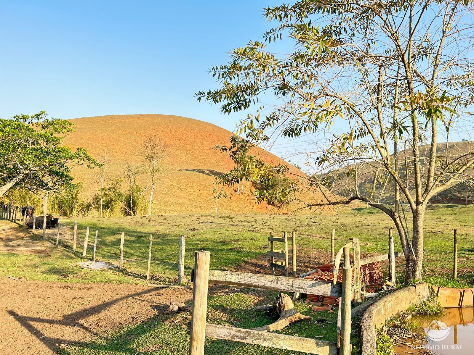 Fazenda à venda com 3 quartos, 1306800m² - Foto 12