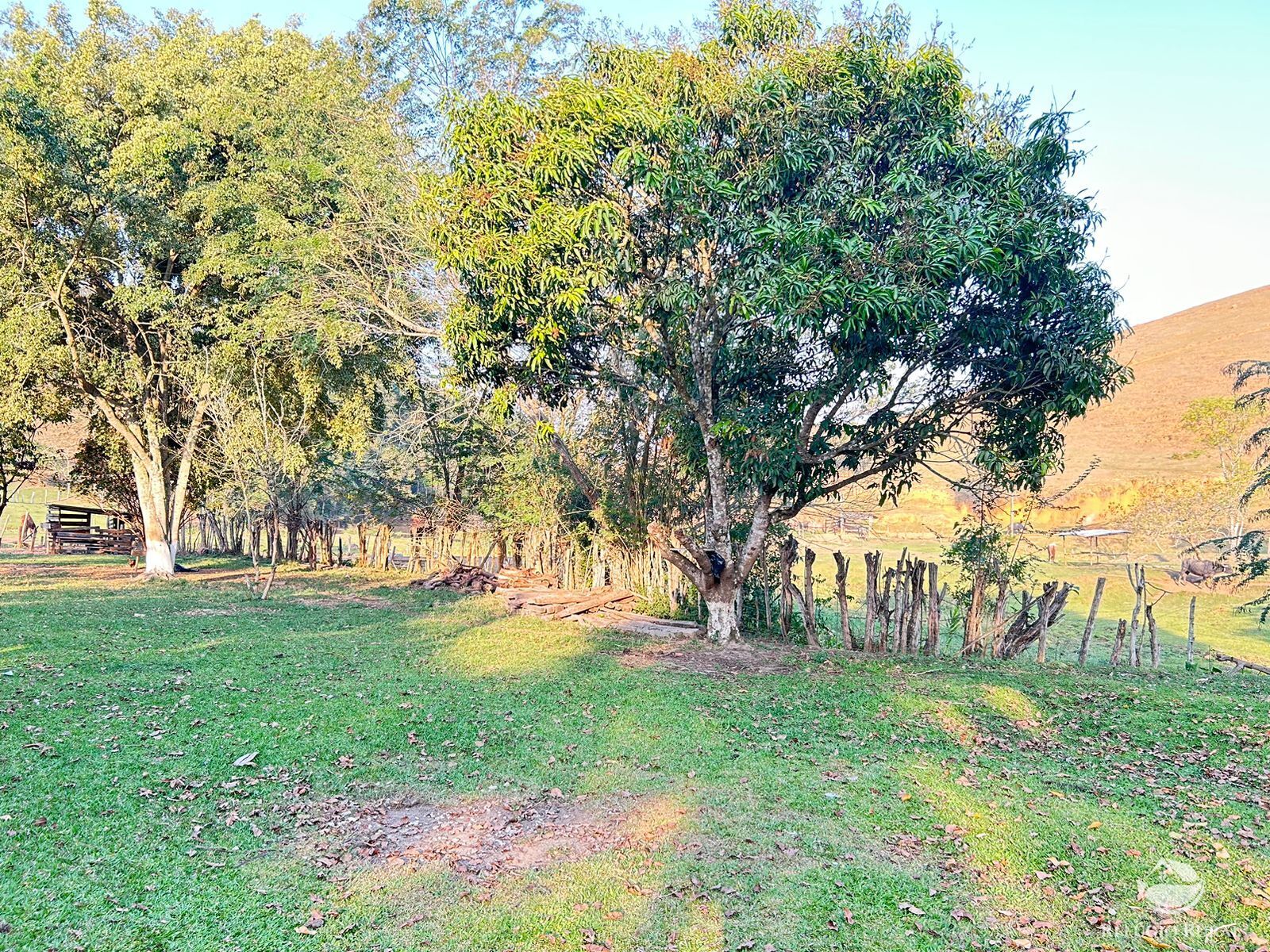 Fazenda à venda com 3 quartos, 1306800m² - Foto 6