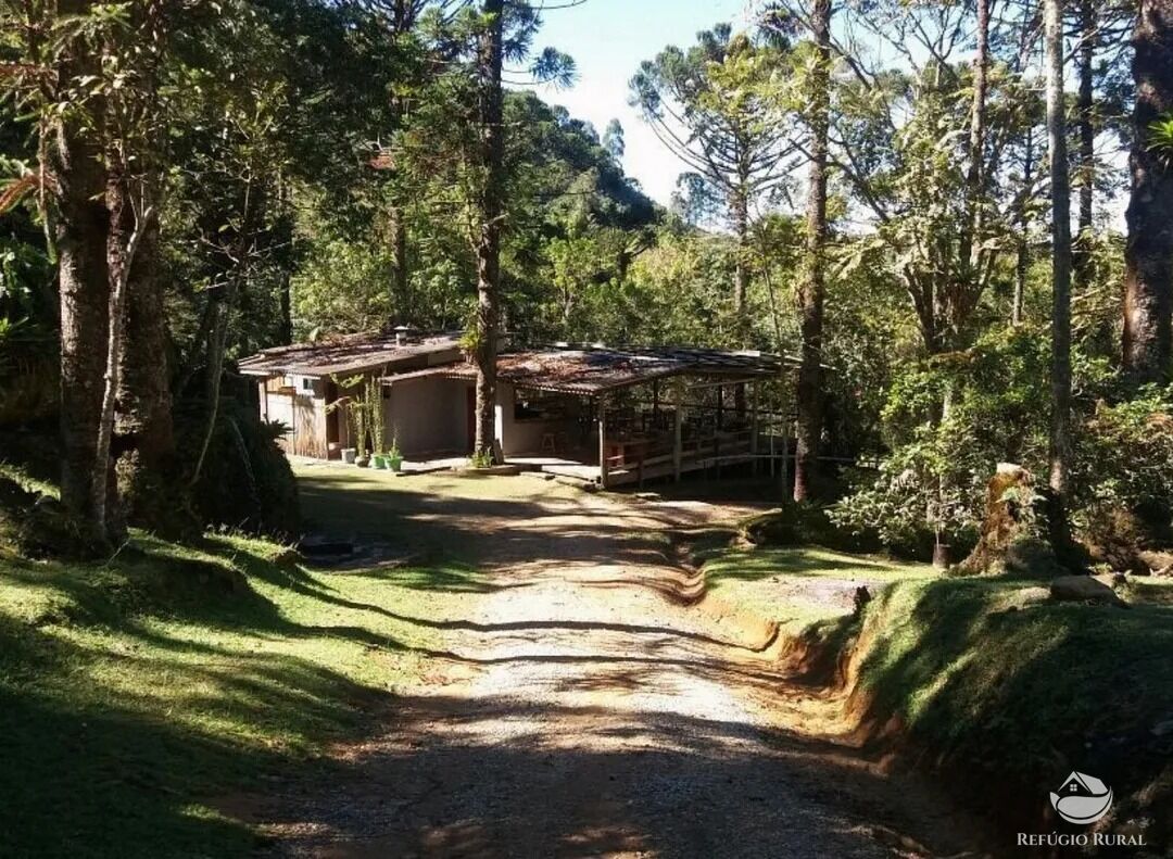 Chácara para alugar com 5 quartos, 50000m² - Foto 7
