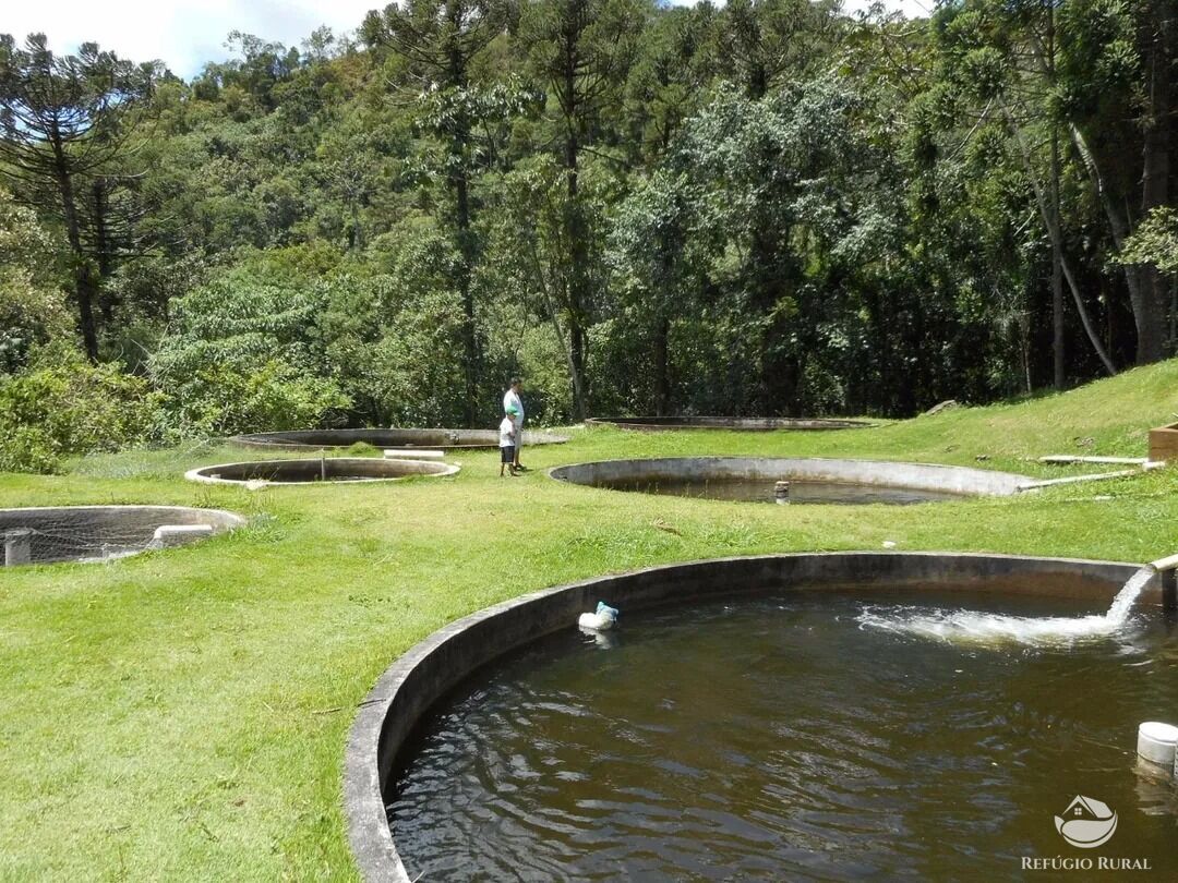Chácara para alugar com 5 quartos, 50000m² - Foto 10
