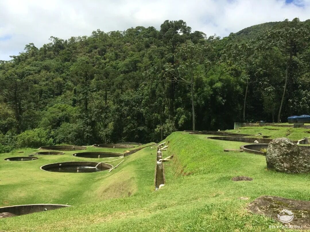 Chácara para alugar com 5 quartos, 50000m² - Foto 6