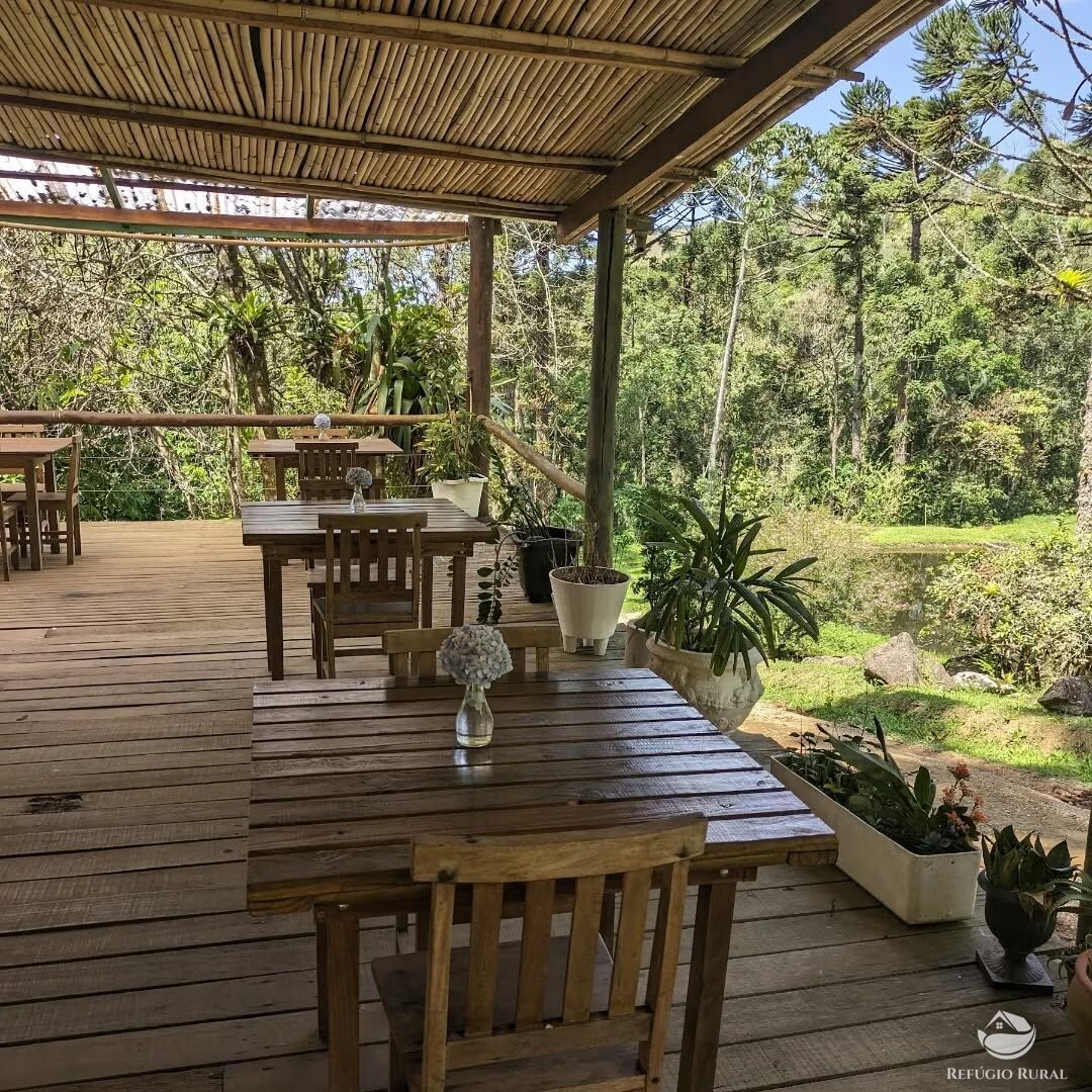Chácara para alugar com 5 quartos, 50000m² - Foto 4