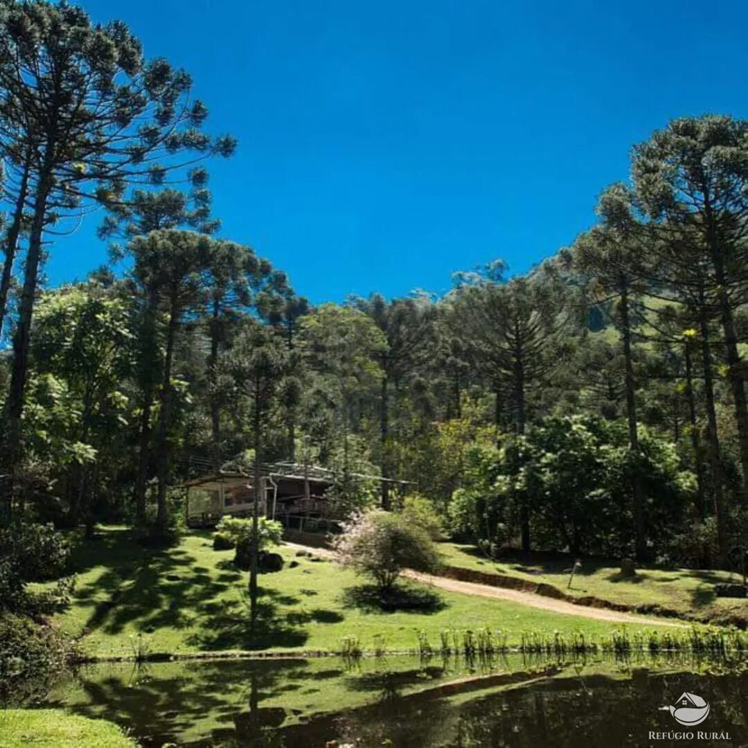 Chácara para alugar com 5 quartos, 50000m² - Foto 1