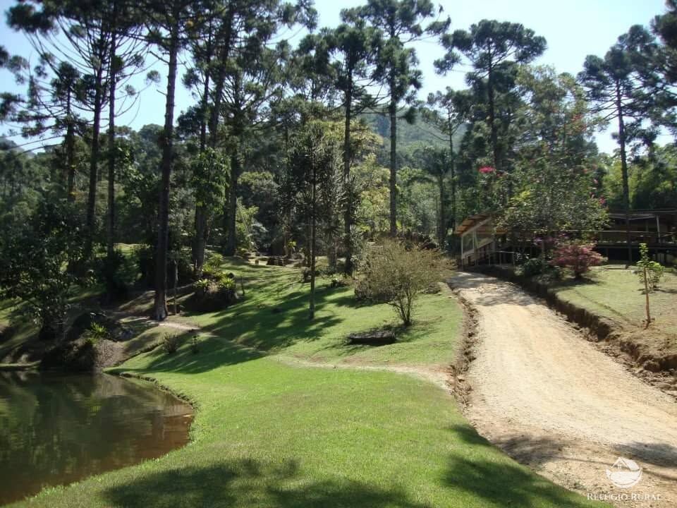 Chácara para alugar com 5 quartos, 50000m² - Foto 12