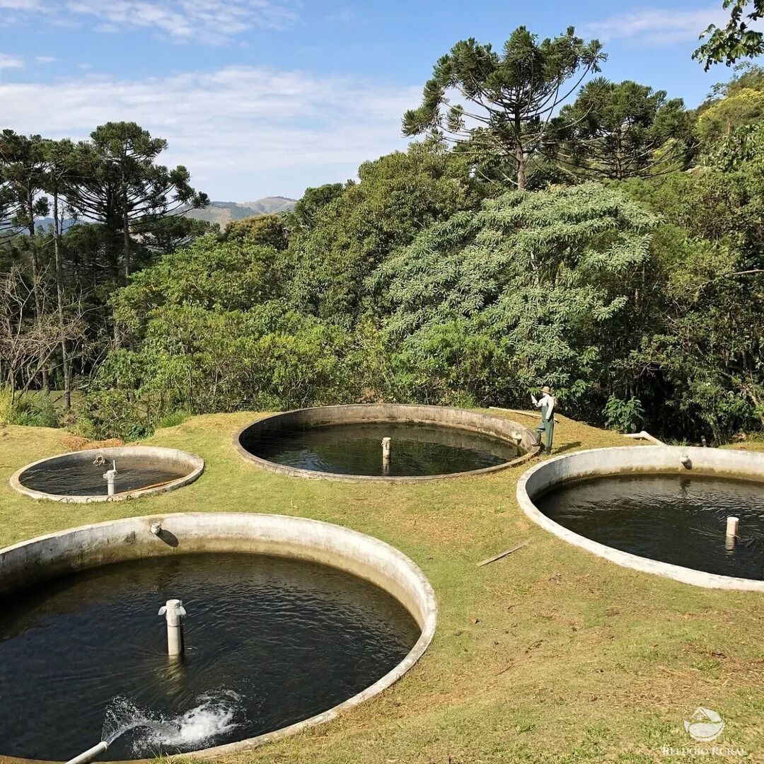 Chácara para alugar com 5 quartos, 50000m² - Foto 11
