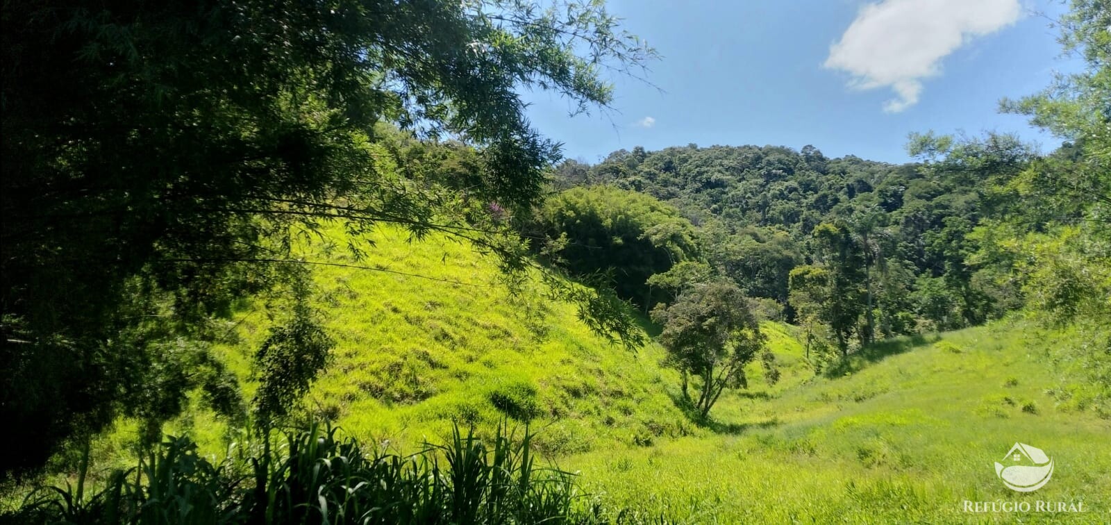 Terreno à venda, 60500m² - Foto 2