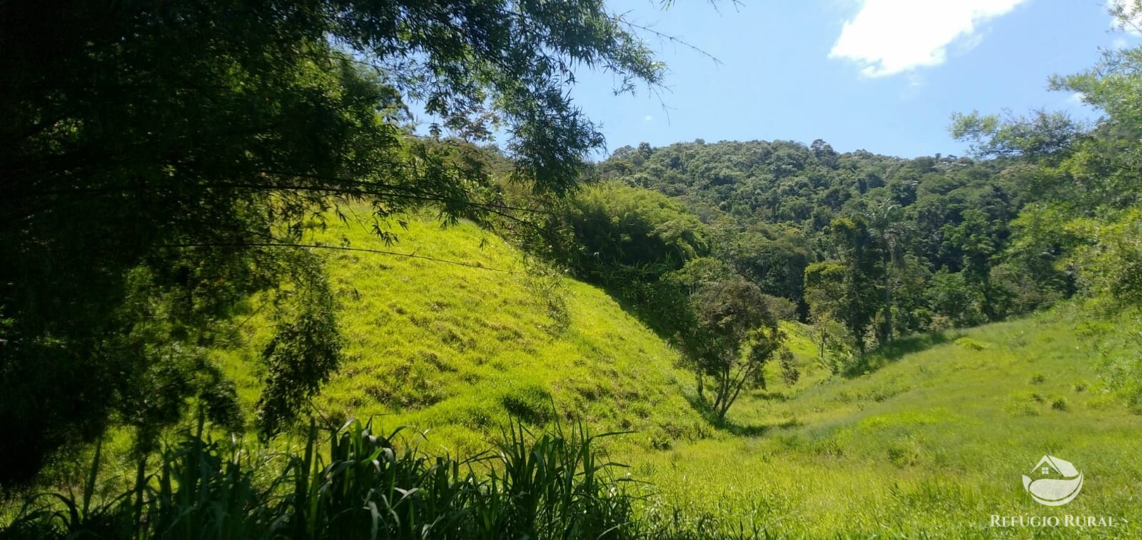 Terreno à venda, 60500m² - Foto 10