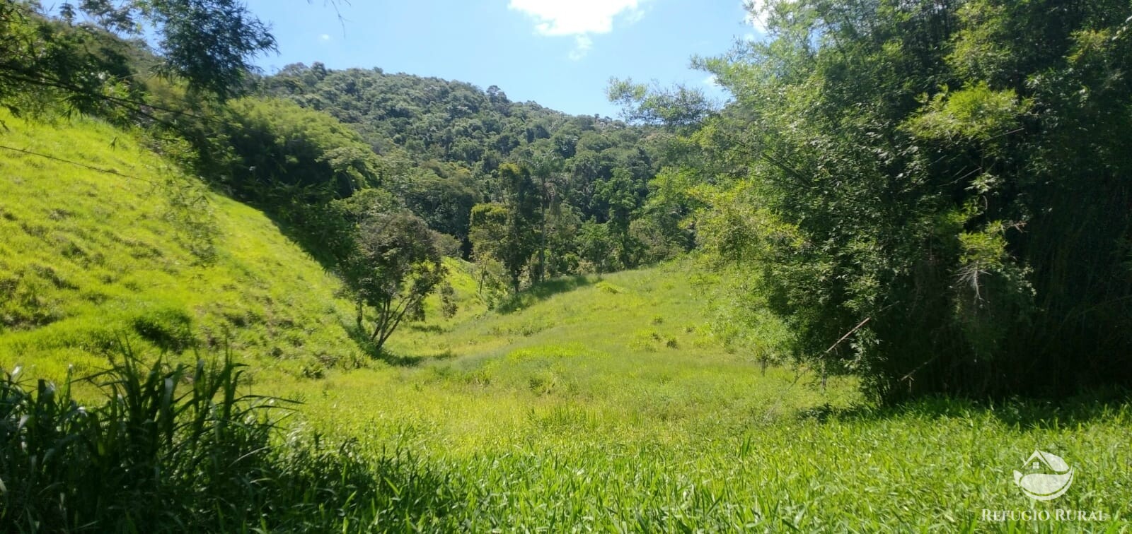 Terreno à venda, 60500m² - Foto 7