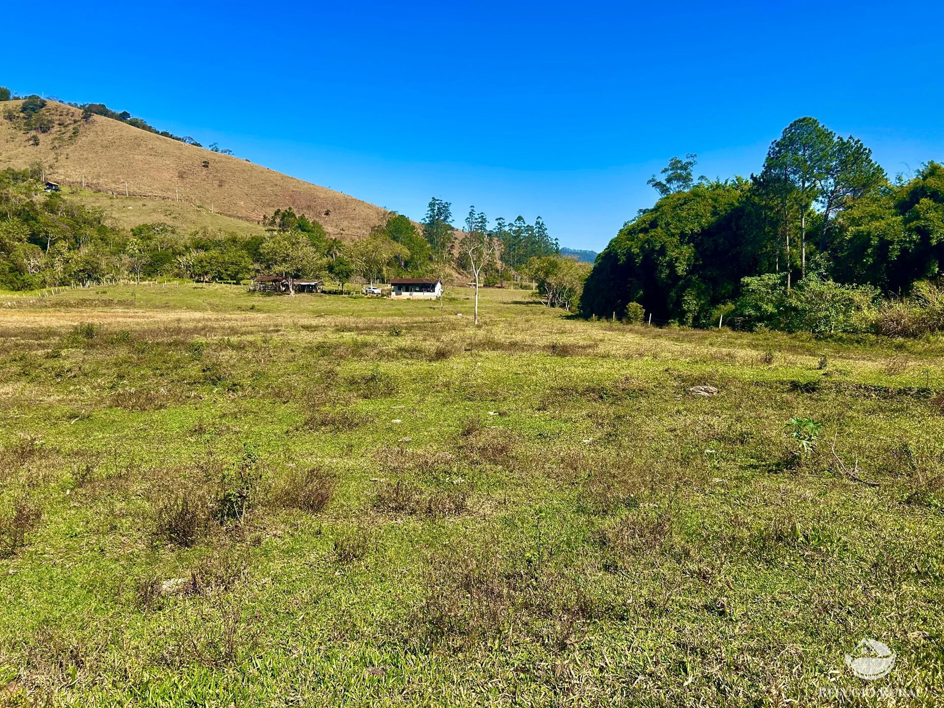 Chácara à venda com 1 quarto, 20000m² - Foto 14