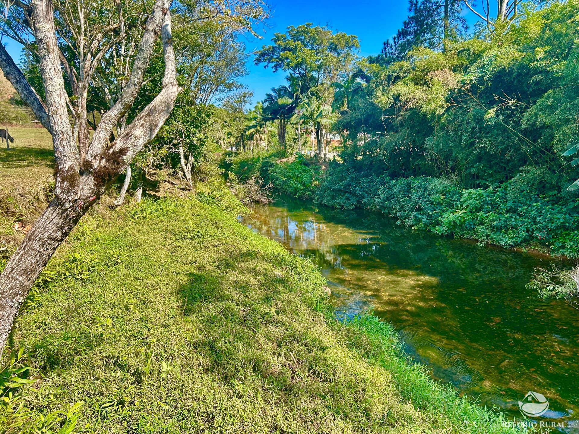 Chácara à venda com 1 quarto, 20000m² - Foto 5