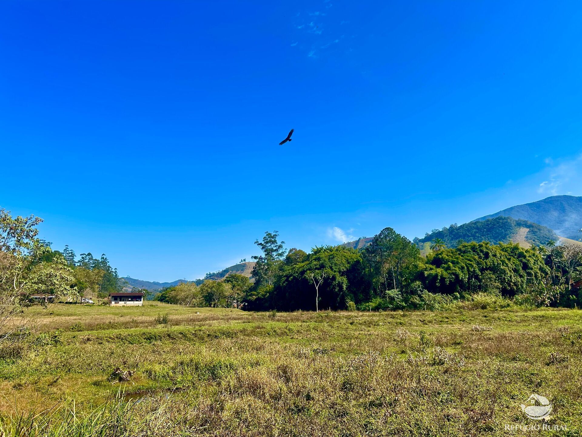 Chácara à venda com 1 quarto, 20000m² - Foto 15
