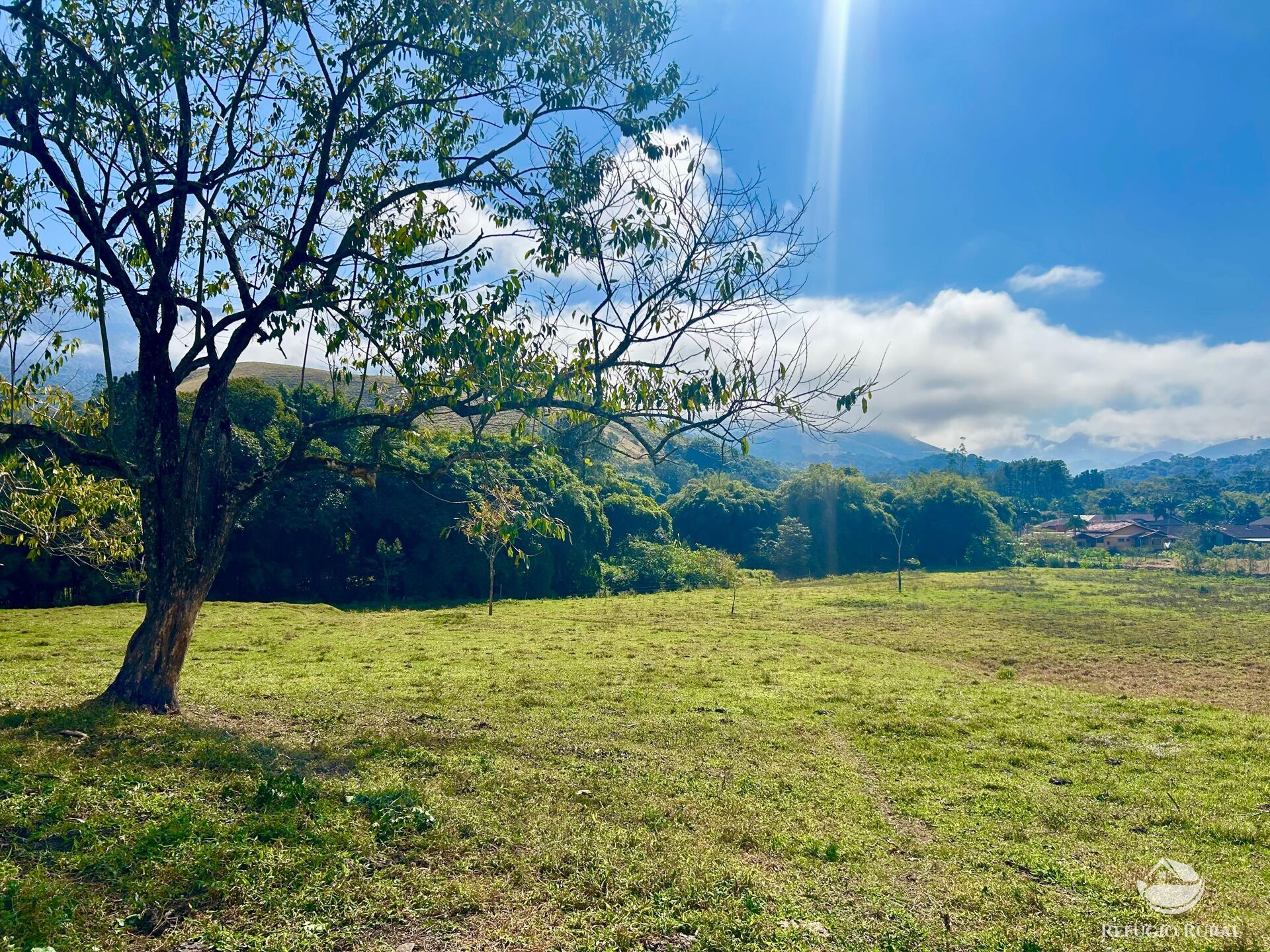 Chácara à venda com 1 quarto, 20000m² - Foto 3