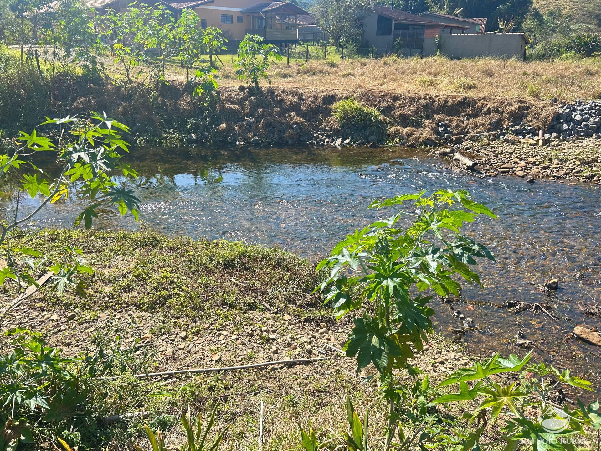 Chácara à venda com 1 quarto, 20000m² - Foto 13