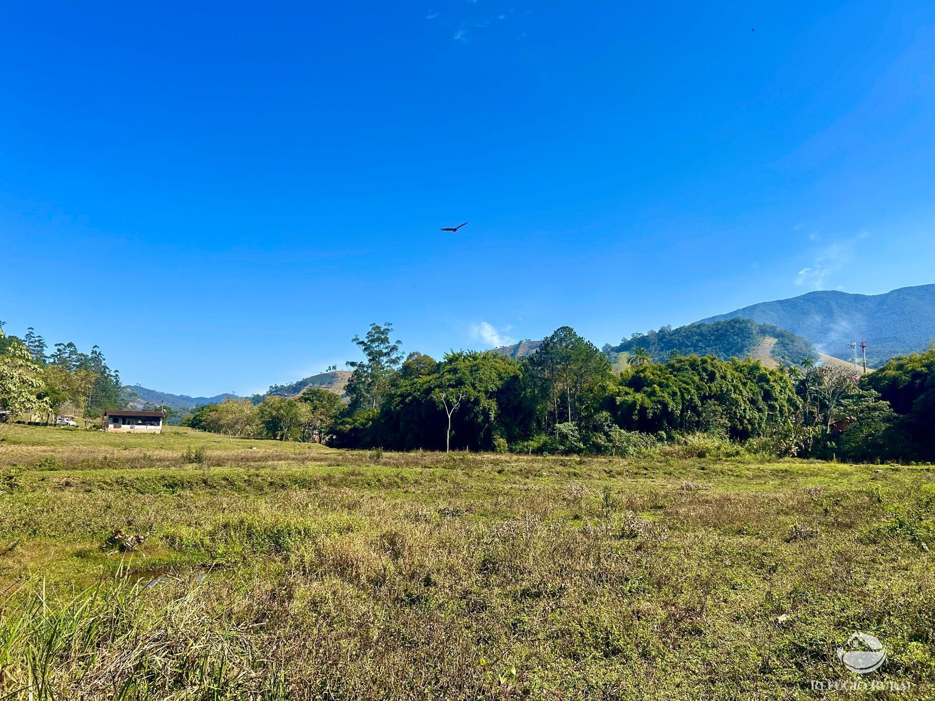 Chácara à venda com 1 quarto, 20000m² - Foto 12