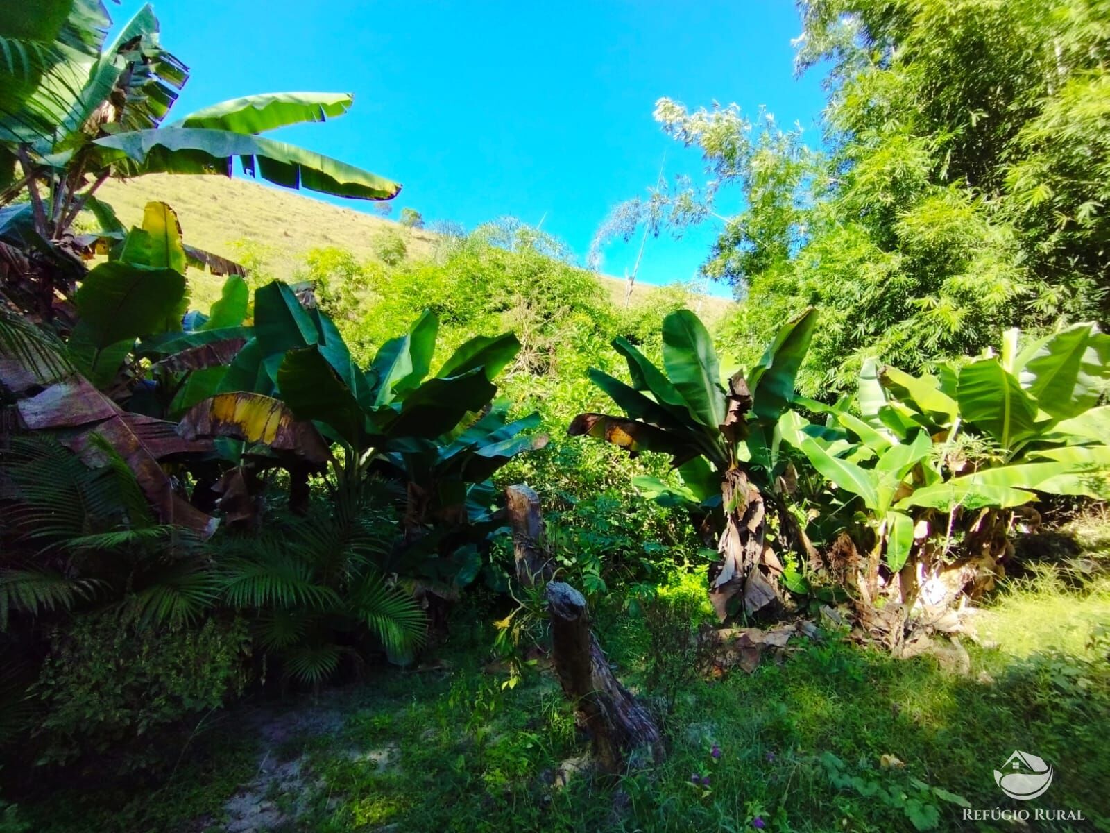 Fazenda à venda com 2 quartos, 121000m² - Foto 13