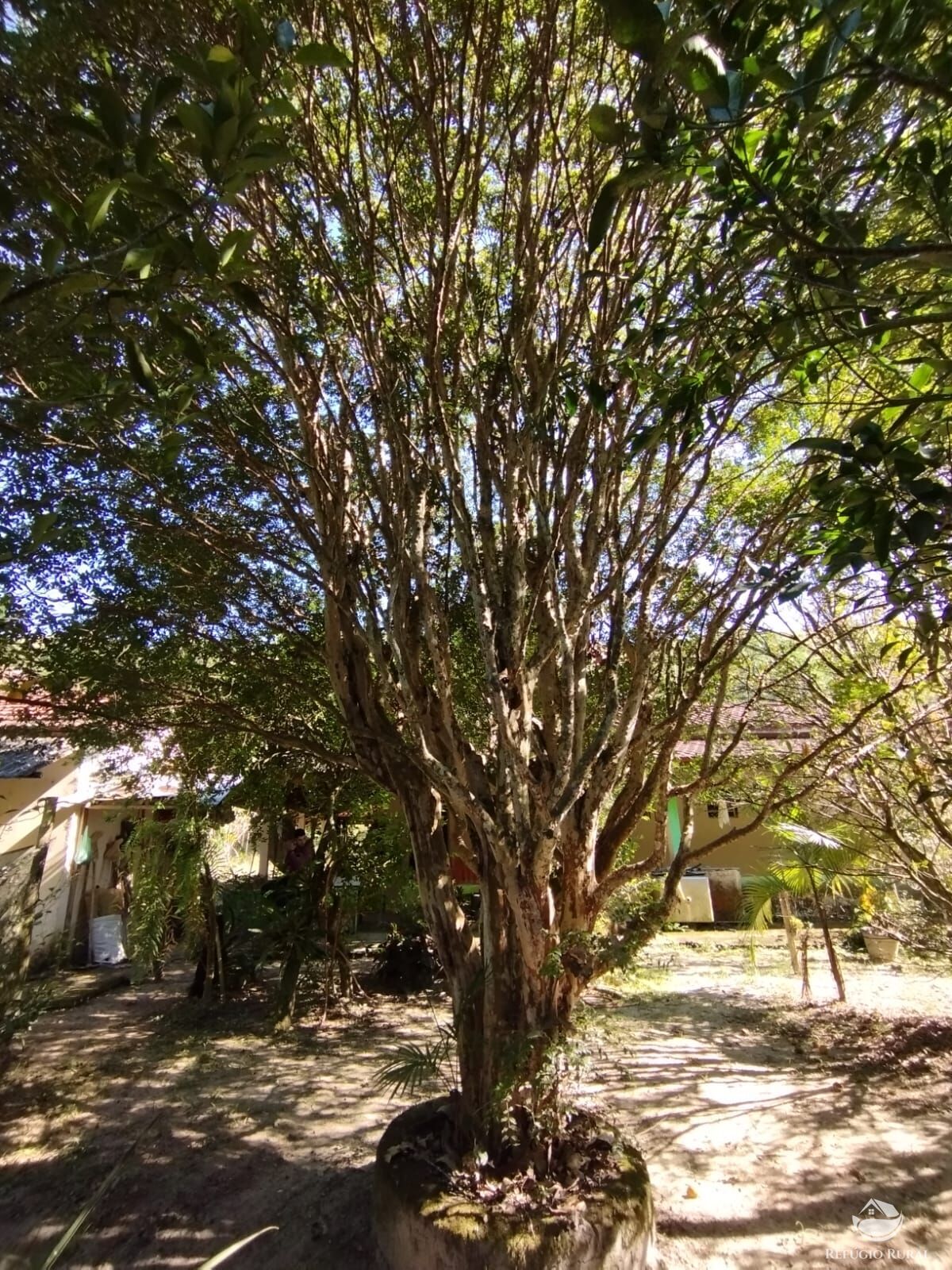 Fazenda à venda com 2 quartos, 121000m² - Foto 12