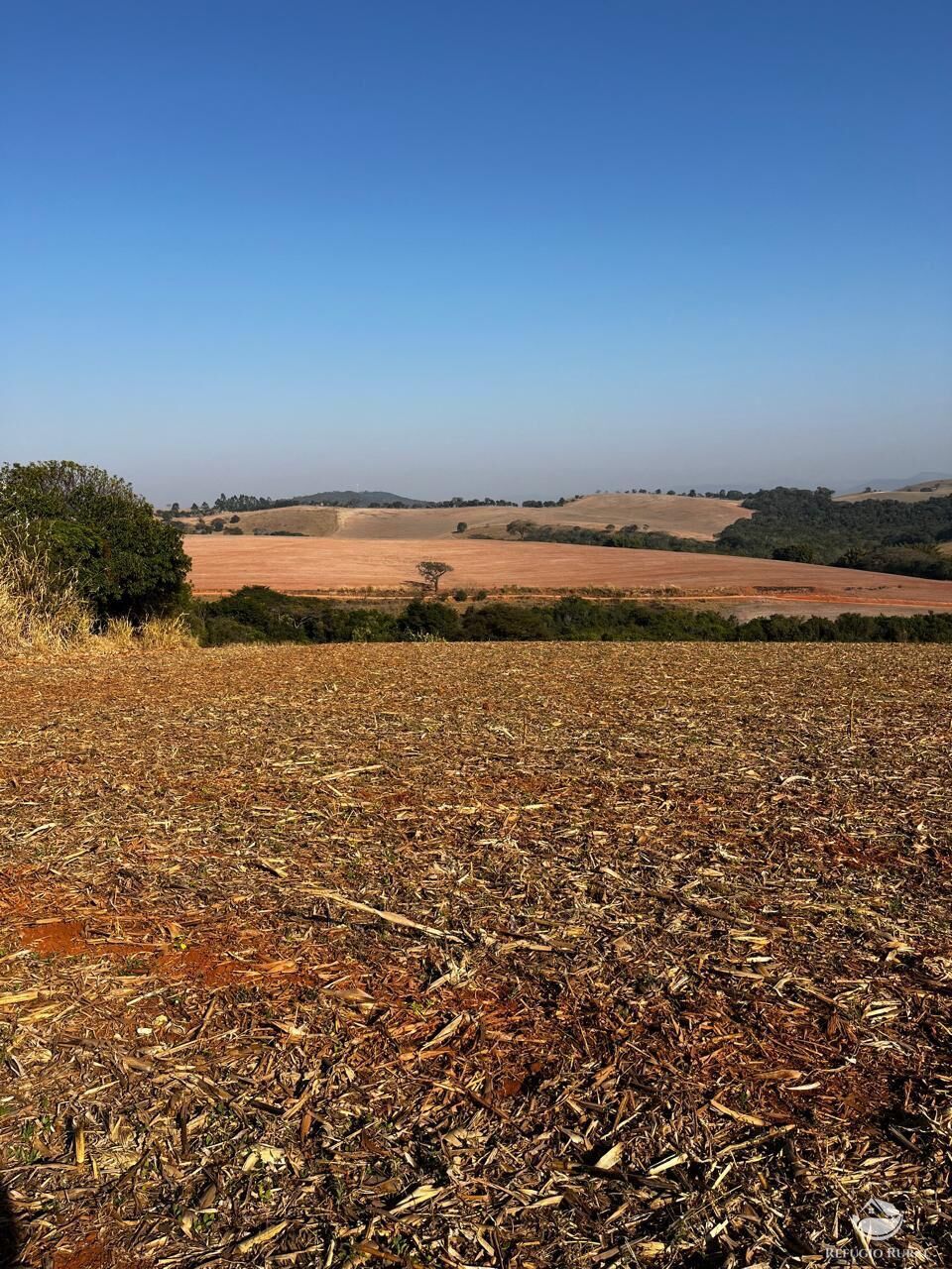 Fazenda, 326 hectares - Foto 13