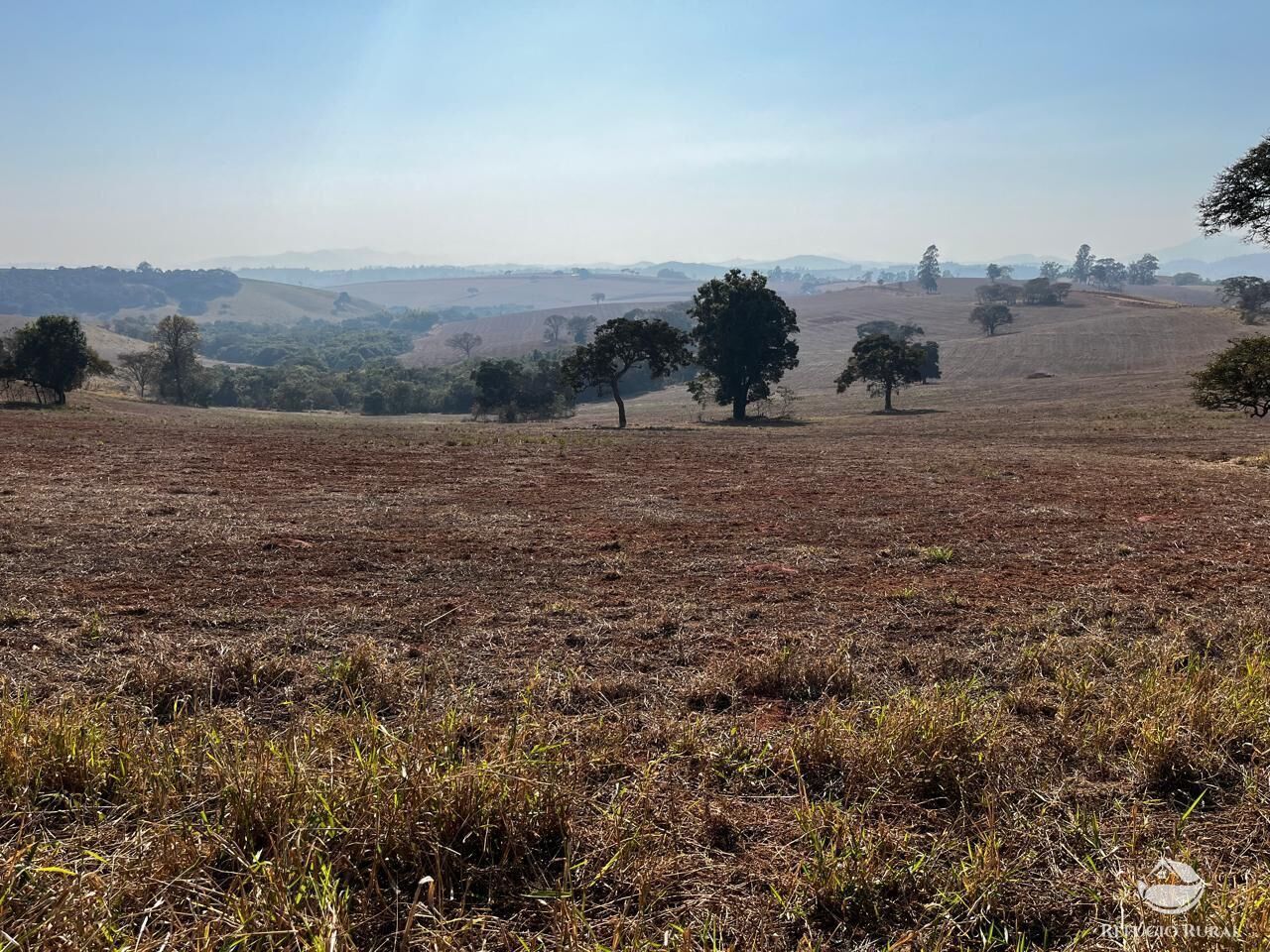 Fazenda, 326 hectares - Foto 11