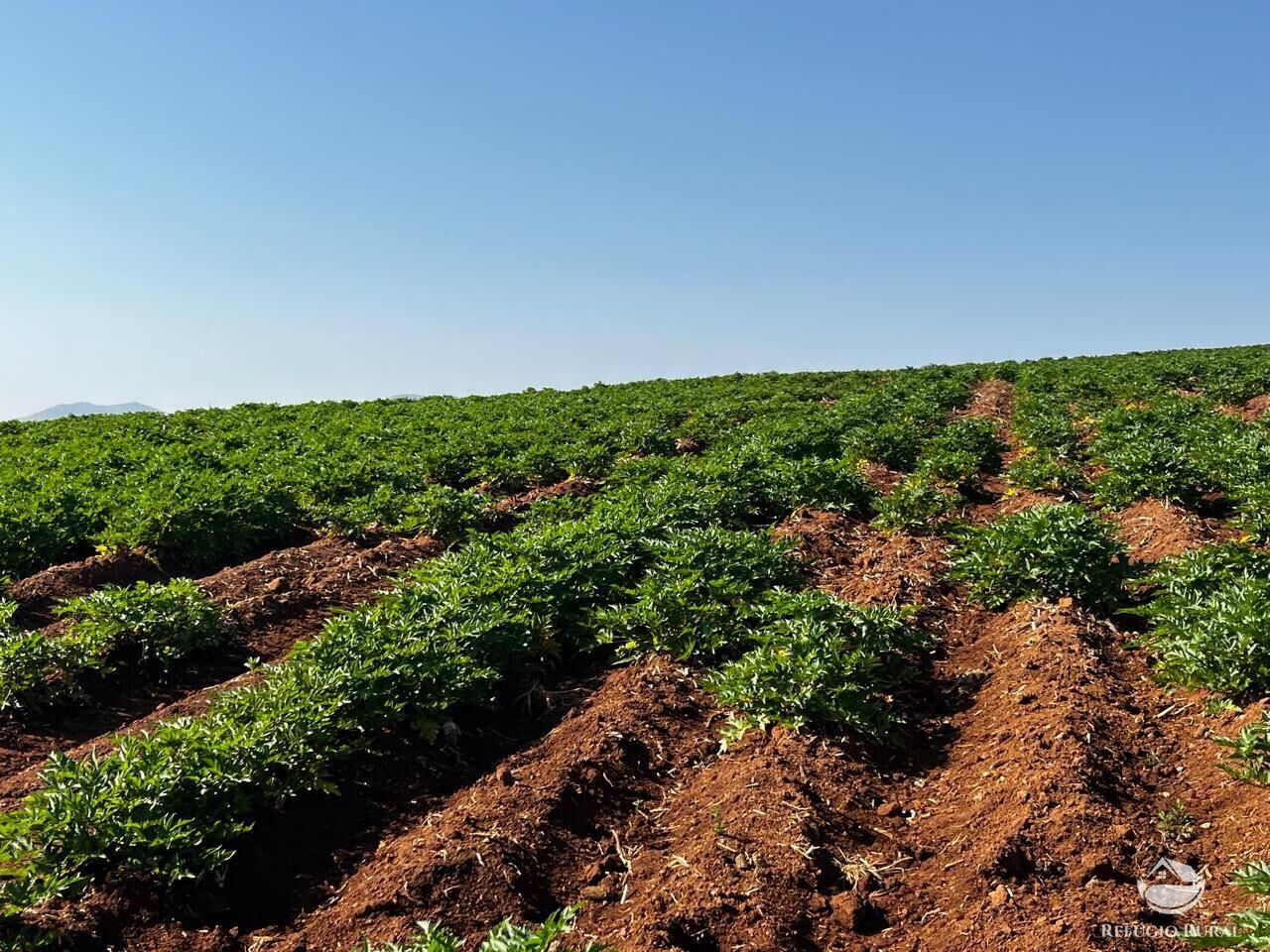 Fazenda, 326 hectares - Foto 14
