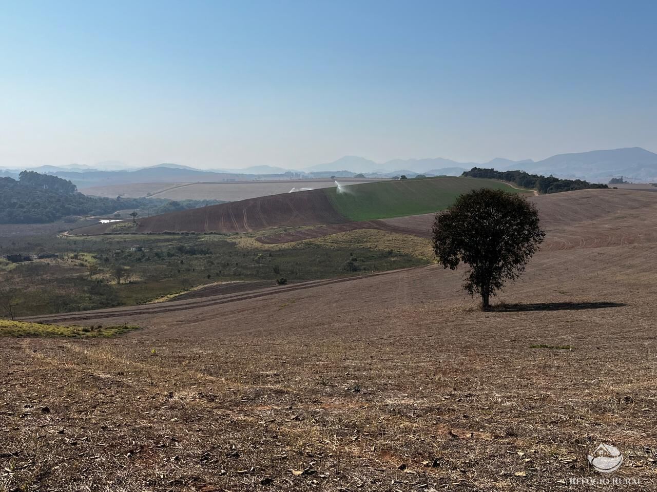 Fazenda, 326 hectares - Foto 7