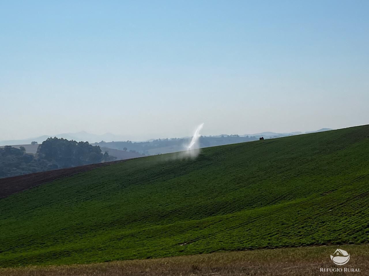 Fazenda, 326 hectares - Foto 5