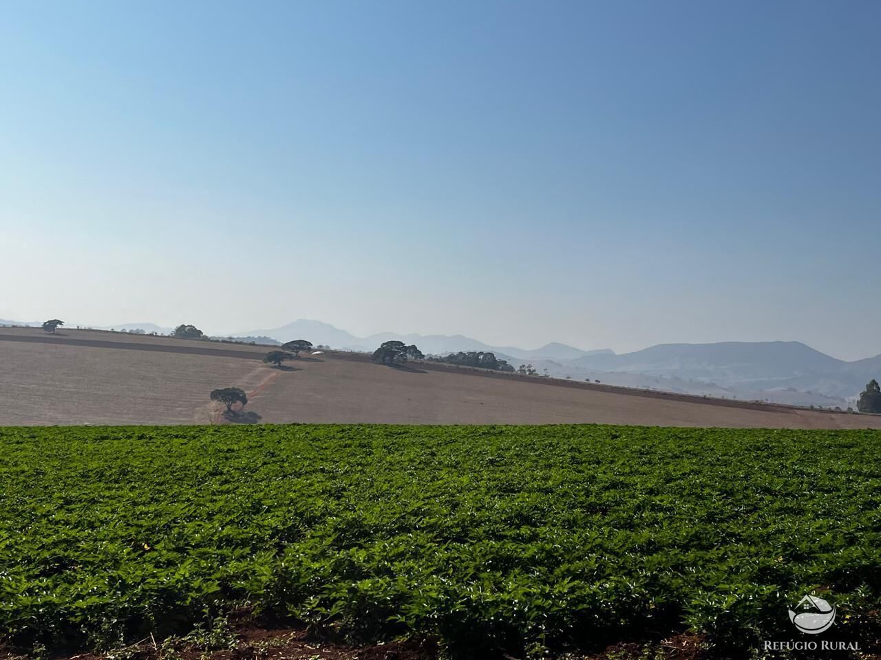 Fazenda, 326 hectares - Foto 6