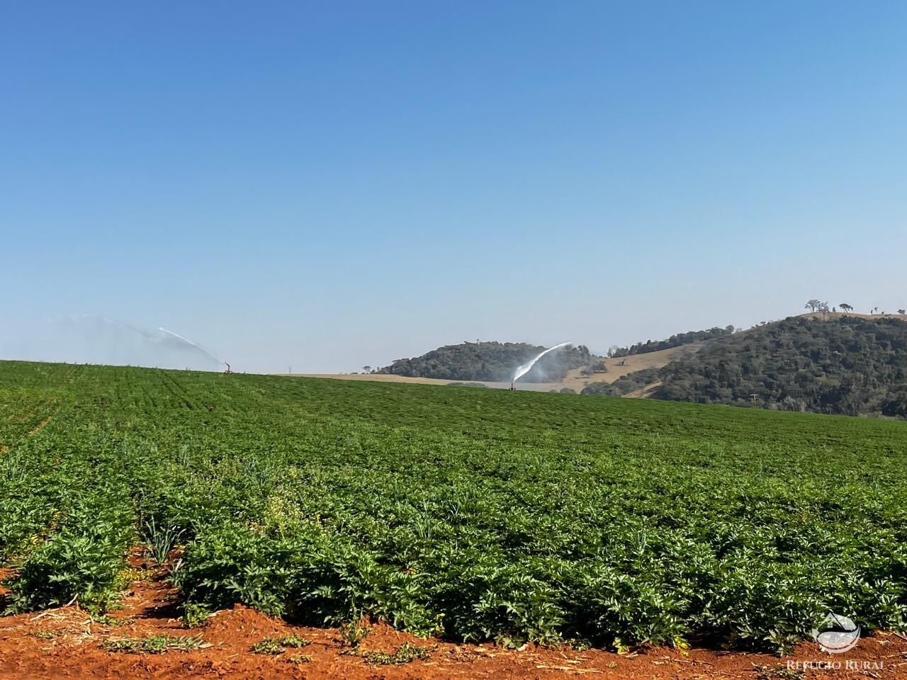 Fazenda, 326 hectares - Foto 9