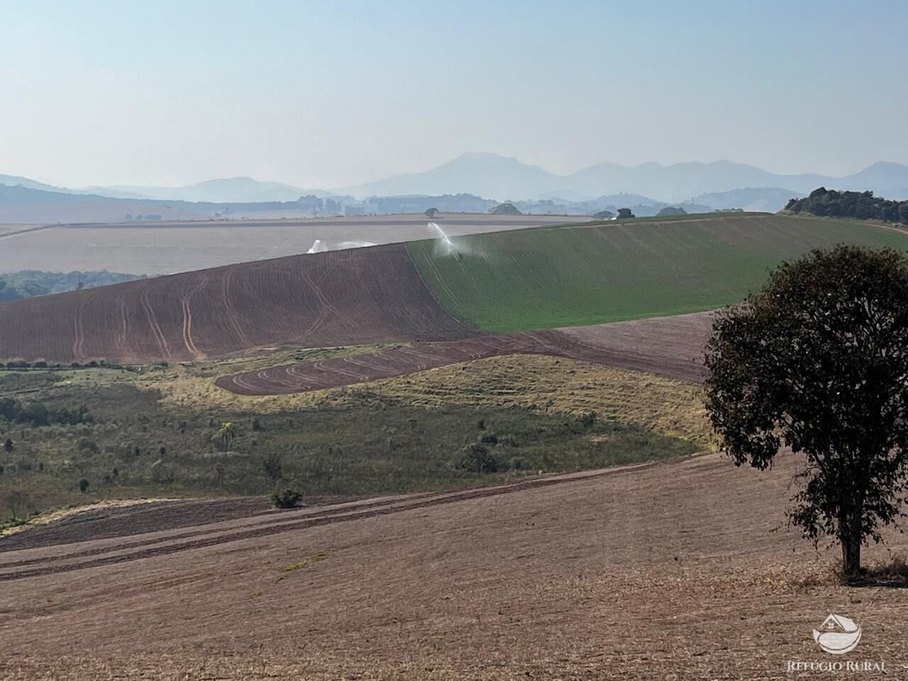 Fazenda, 326 hectares - Foto 16
