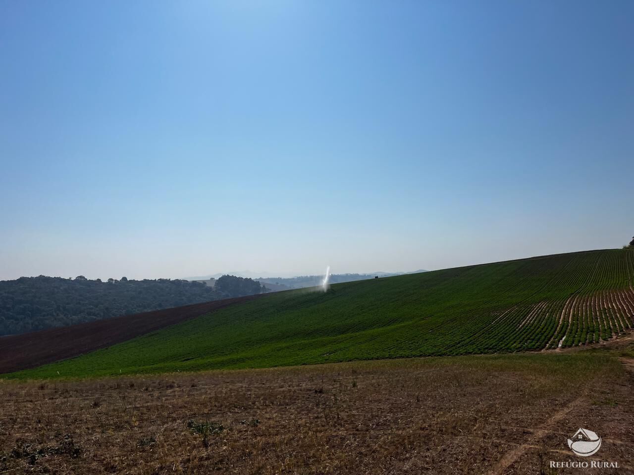 Fazenda, 326 hectares - Foto 15