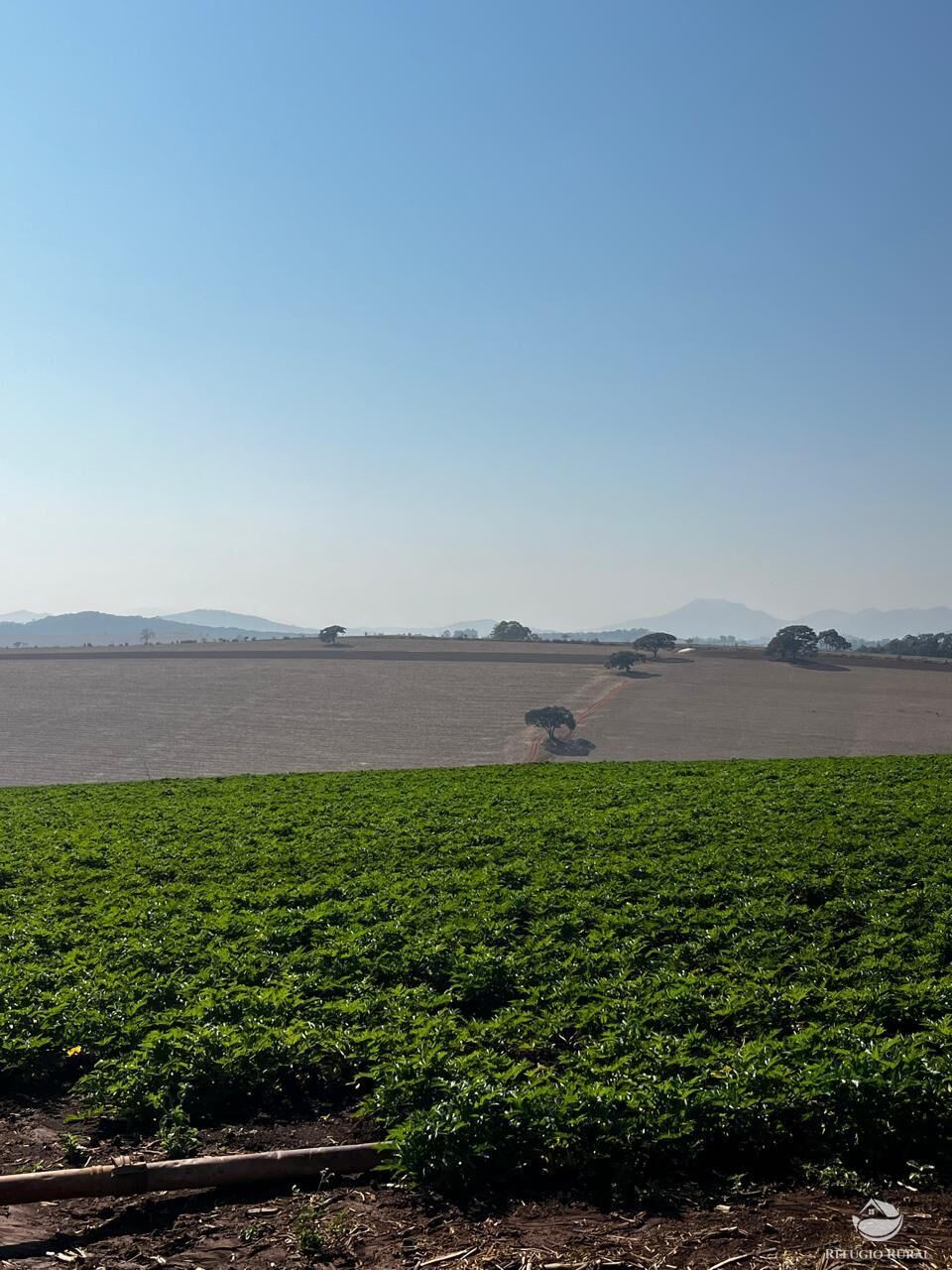 Fazenda, 326 hectares - Foto 19