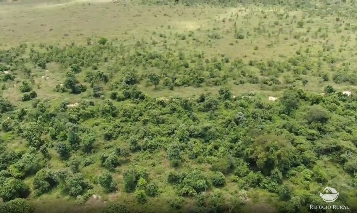 Fazenda, 690 hectares - Foto 10