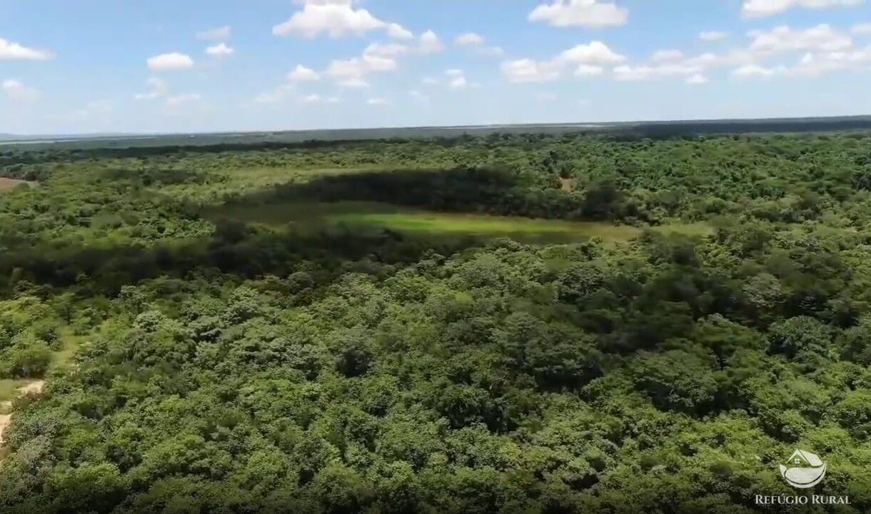 Fazenda, 690 hectares - Foto 7