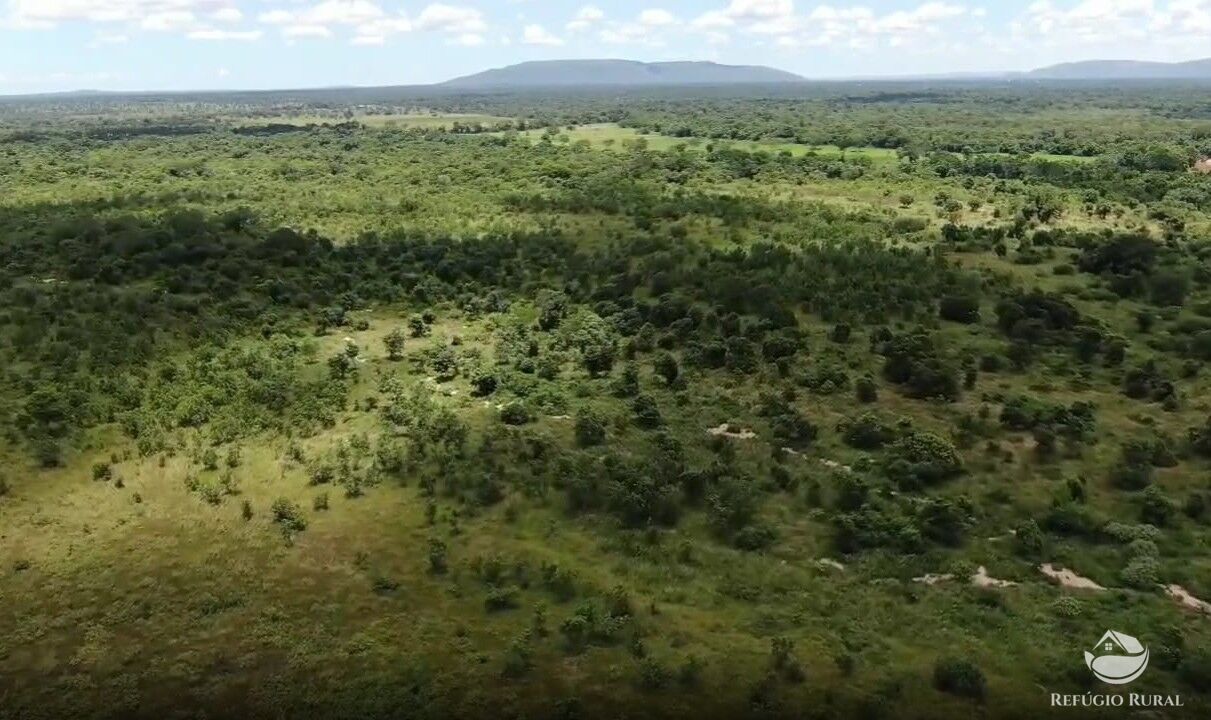 Fazenda, 690 hectares - Foto 9