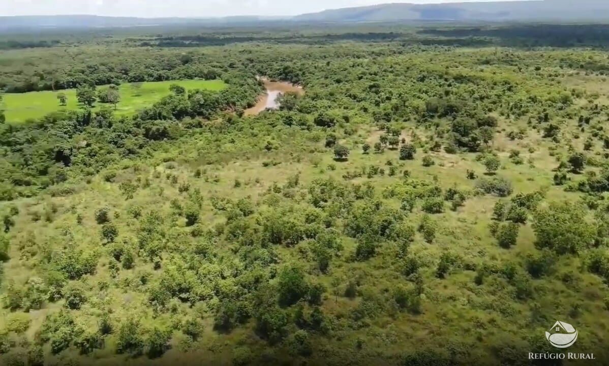 Fazenda, 690 hectares - Foto 11