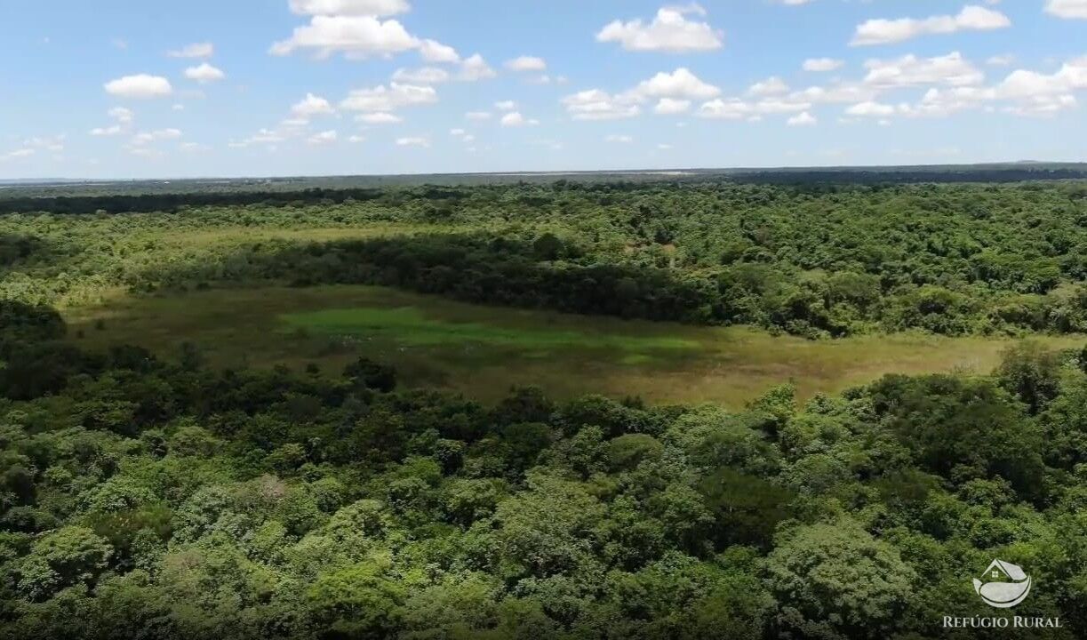 Fazenda, 690 hectares - Foto 12