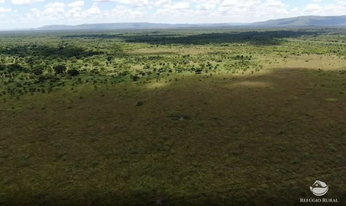 Fazenda, 690 hectares - Foto 8