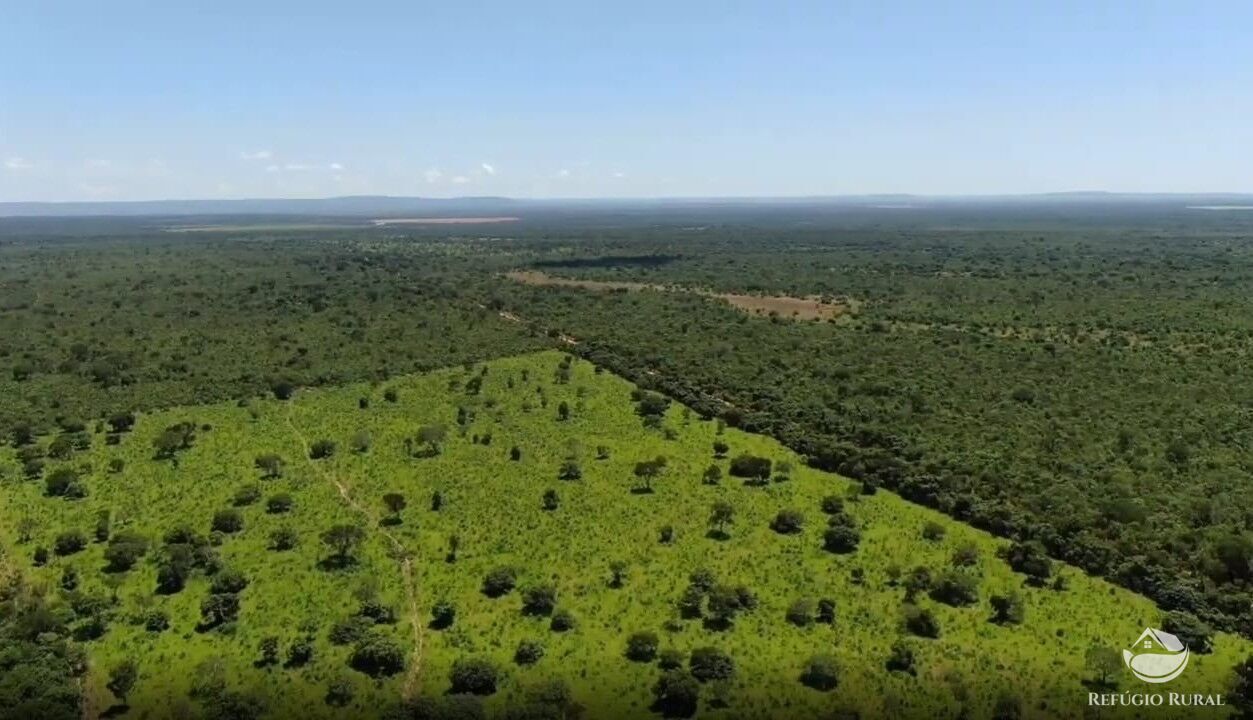 Fazenda, 690 hectares - Foto 1