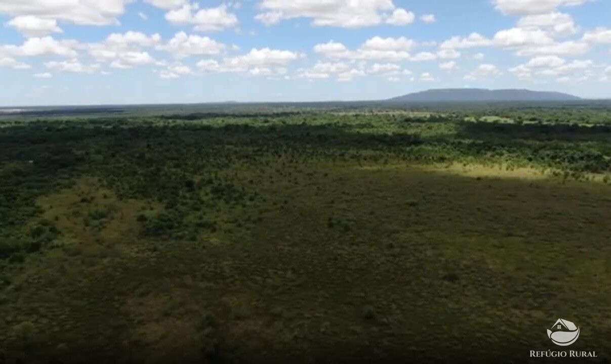 Fazenda, 690 hectares - Foto 6